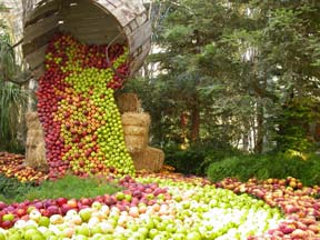 Bellagio Conservatory